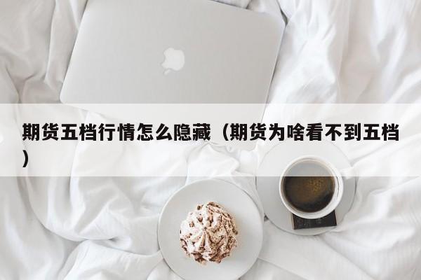 期货五档行情怎么隐藏(期货为啥看不到五档)