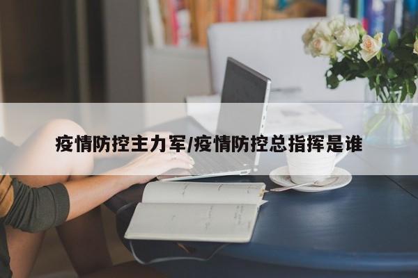 疫情防控主力军/疫情防控总指挥是谁