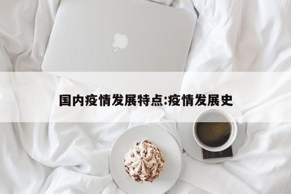 国内疫情发展特点:疫情发展史