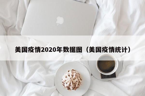 美国疫情2020年数据图(美国疫情统计)