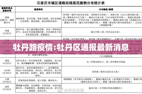 牡丹路疫情:牡丹区通报最新消息