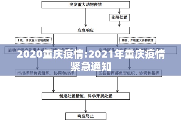 2020重庆疫情:2021年重庆疫情紧急通知