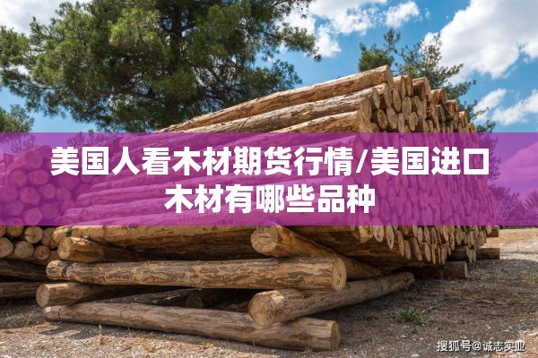 美国人看木材期货行情/美国进口木材有哪些品种