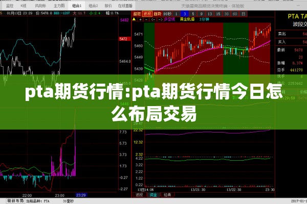 pta期货行情:pta期货行情今日怎么布局交易 pta期货行情:pta期货行情今日怎么布局交易