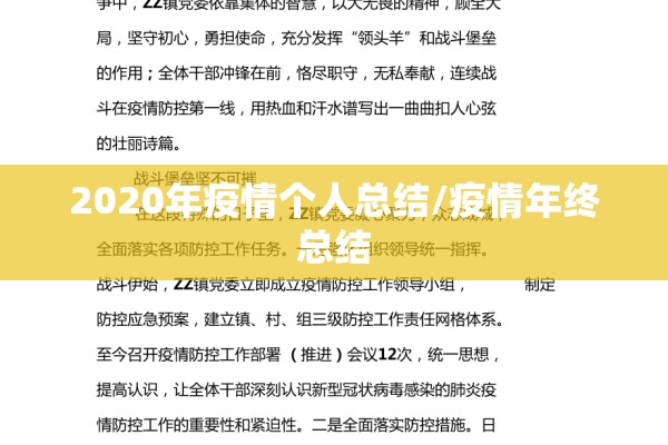 2020年疫情个人总结/疫情年终总结