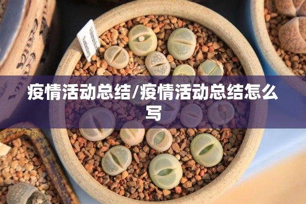 疫情活动总结/疫情活动总结怎么写 疫情活动总结/疫情活动总结怎么写