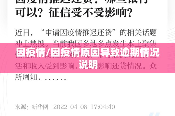 因疫情/因疫情原因导致逾期情况说明 因疫情/因疫情原因导致逾期情况说明