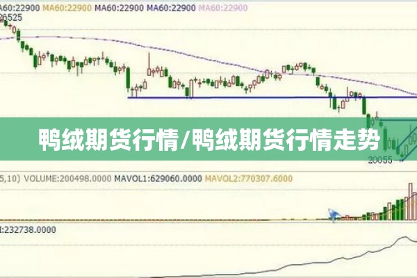 鸭绒期货行情/鸭绒期货行情走势
