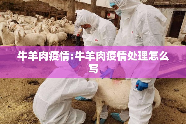 牛羊肉疫情:牛羊肉疫情处理怎么写