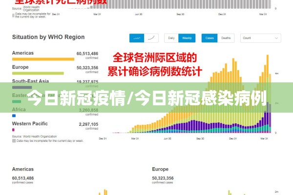 今日新冠疫情/今日新冠感染病例
