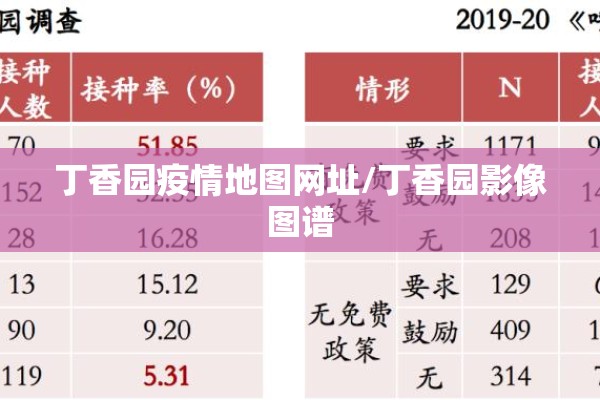丁香园疫情地图网址/丁香园影像图谱