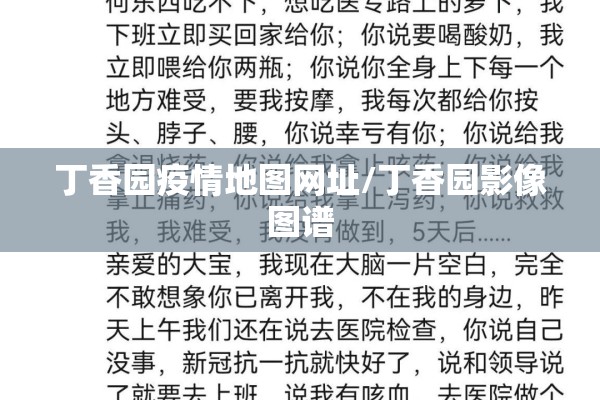 丁香园疫情地图网址/丁香园影像图谱