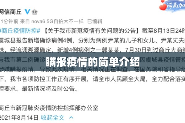 瞒报疫情的简单介绍