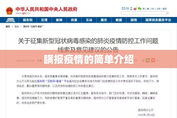 瞒报疫情的简单介绍