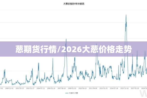 葱期货行情/2026大葱价格走势 葱期货行情/2026大葱价格走势