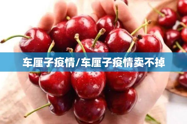 车厘子疫情/车厘子疫情卖不掉 车厘子疫情/车厘子疫情卖不掉