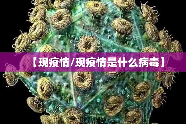 【现疫情/现疫情是什么病毒】