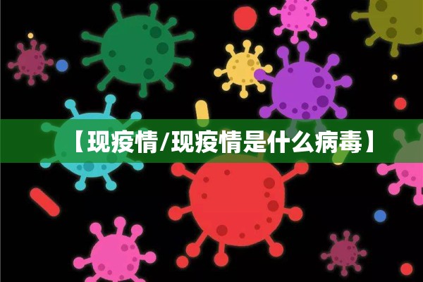【现疫情/现疫情是什么病毒】