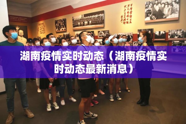 湖南疫情实时动态（湖南疫情实时动态最新消息）