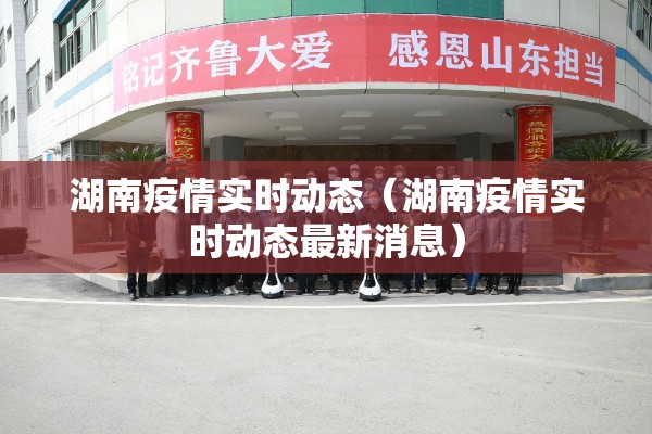 湖南疫情实时动态（湖南疫情实时动态最新消息）