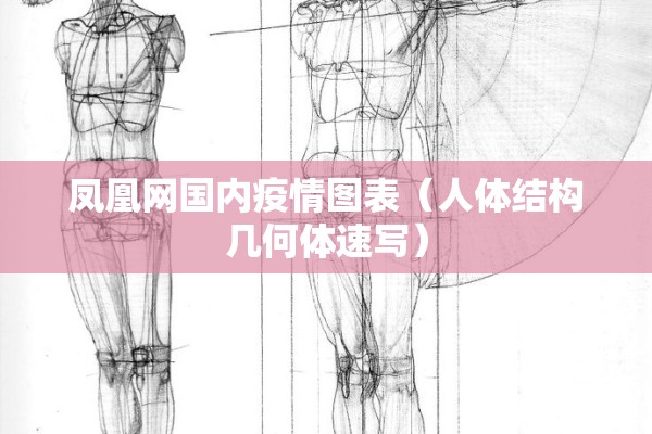 凤凰网国内疫情图表（人体结构几何体速写）