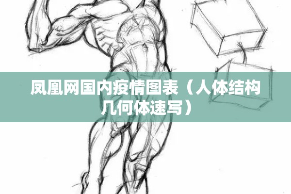 凤凰网国内疫情图表(人体结构几何体速写) 凤凰网国内疫情图表(人体结构几何体速写)