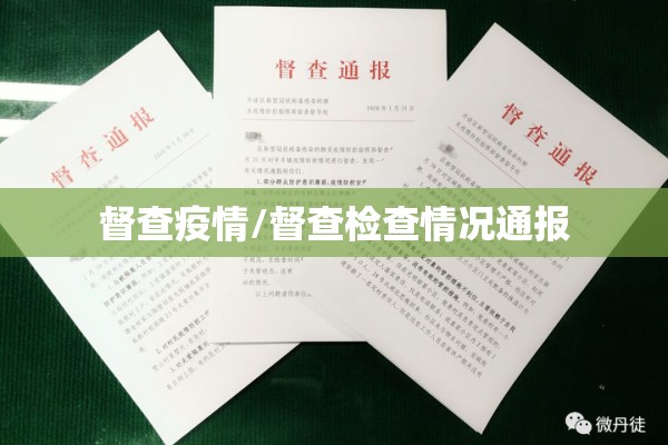 督查疫情/督查检查情况通报
