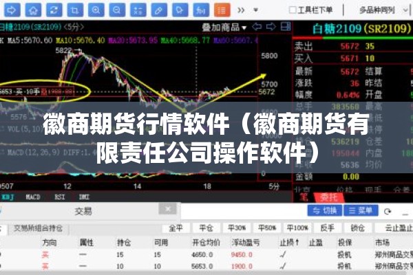 徽商期货行情软件（徽商期货有限责任公司操作软件）