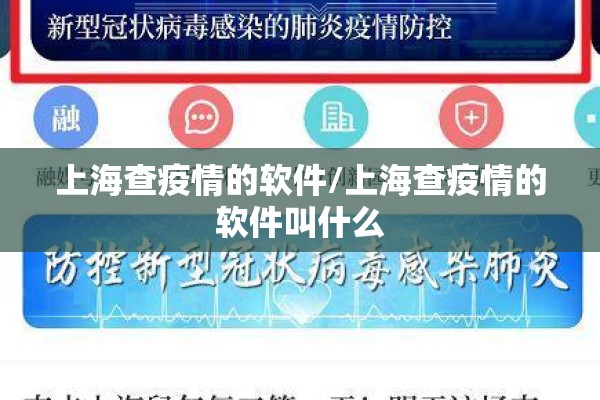 上海查疫情的软件/上海查疫情的软件叫什么