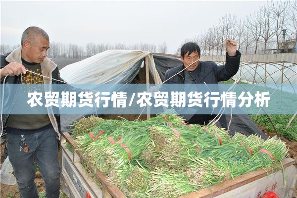 农贸期货行情/农贸期货行情分析 农贸期货行情/农贸期货行情分析