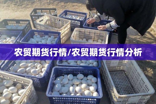 农贸期货行情/农贸期货行情分析 农贸期货行情/农贸期货行情分析