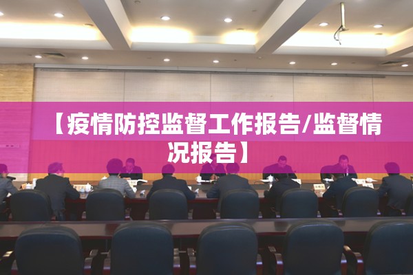 【疫情防控监督工作报告/监督情况报告】