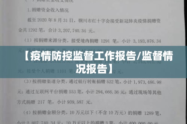 【疫情防控监督工作报告/监督情况报告】