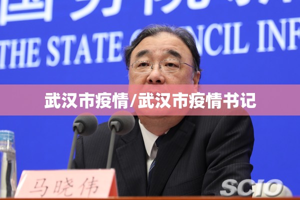武汉市疫情/武汉市疫情书记 武汉市疫情/武汉市疫情书记