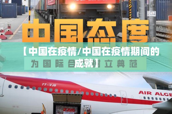 【中国在疫情/中国在疫情期间的成就】