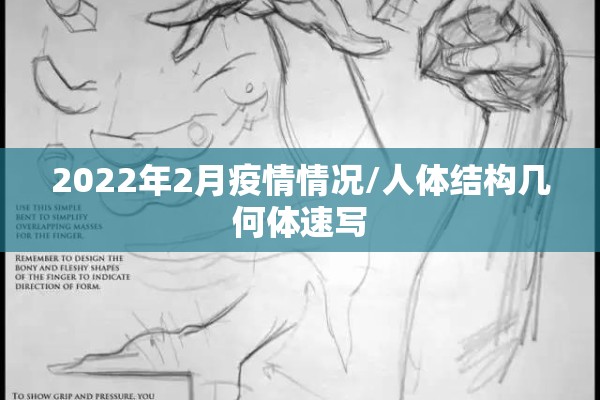 2022年2月疫情情况/人体结构几何体速写