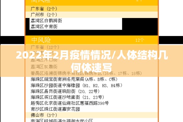 2022年2月疫情情况/人体结构几何体速写