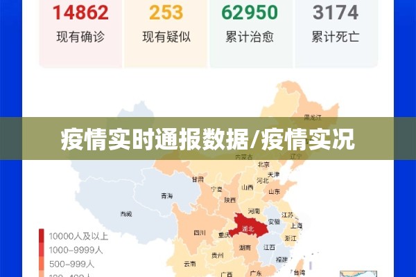 疫情实时通报数据/疫情实况