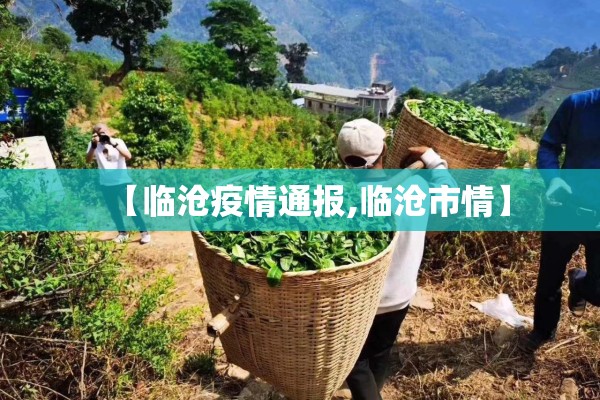 【临沧疫情通报,临沧市情】 【临沧疫情通报,临沧市情】