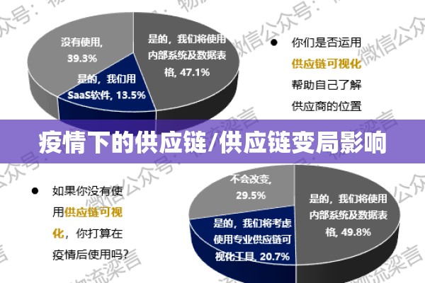 疫情下的供应链/供应链变局影响