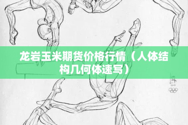 龙岩玉米期货价格行情(人体结构几何体速写) 龙岩玉米期货价格行情(人体结构几何体速写)