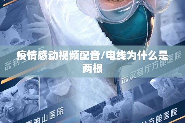 疫情感动视频配音/电线为什么是两根