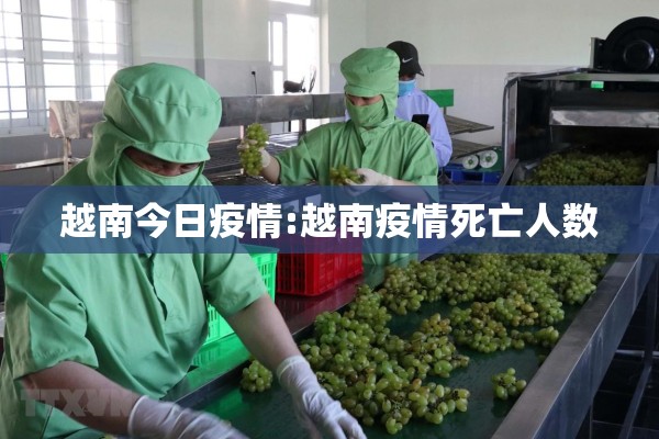 越南今日疫情:越南疫情死亡人数