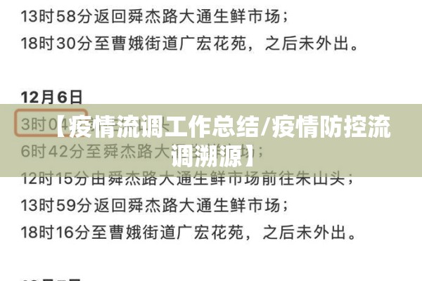 【疫情流调工作总结/疫情防控流调溯源】
