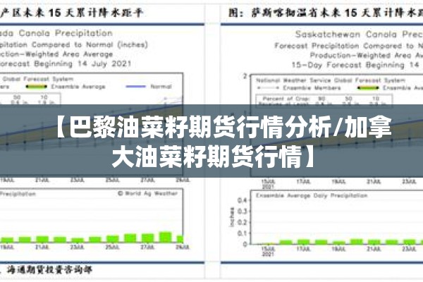 【巴黎油菜籽期货行情分析/加拿大油菜籽期货行情】