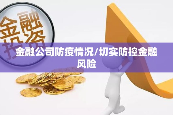 金融公司防疫情况/切实防控金融风险 金融公司防疫情况/切实防控金融风险