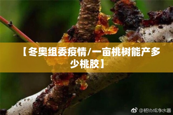 【冬奥组委疫情/一亩桃树能产多少桃胶】