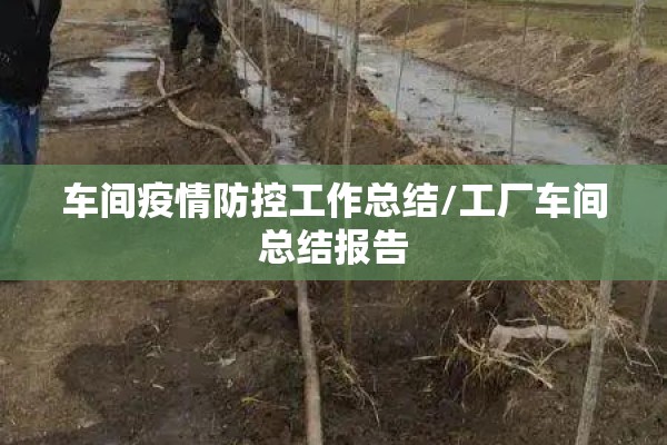 车间疫情防控工作总结/工厂车间总结报告